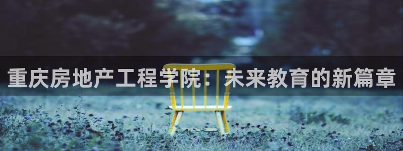 天狮娱乐a 判官：重庆房地产工程学院：未来教育的新篇章