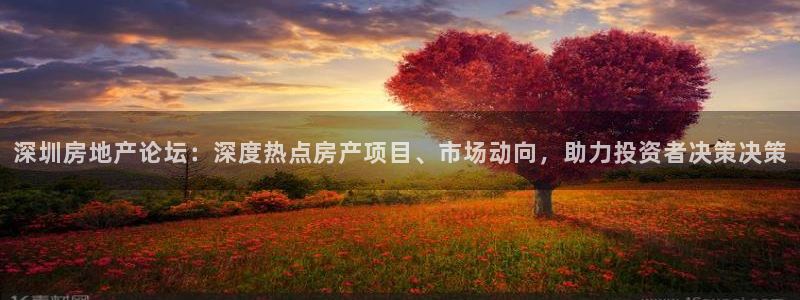 天狮娱乐是什么东西：深圳房地产论坛：深度热点房产项目、市场动