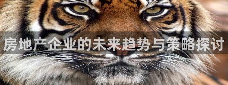 天狮娱乐 b主管61166：房地产企业的未来趋势与策略探讨