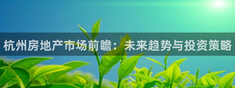 天狮娱乐彩票客服电话：杭州房地产市场前瞻：未来趋势与投资策略