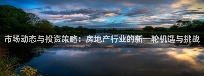 天狮娱乐登入：市场动态与投资策略：房地产行业的新一轮机遇与挑