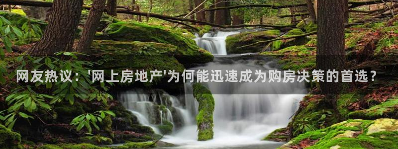 天狮娱乐app：网友热议：\'网上房地产\'为何能迅速成为购