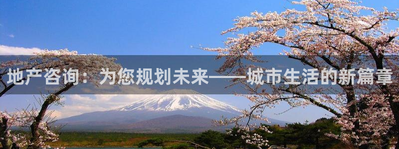 天狮娱乐app是哪的：地产咨询：为您规划未来——城市生活的新