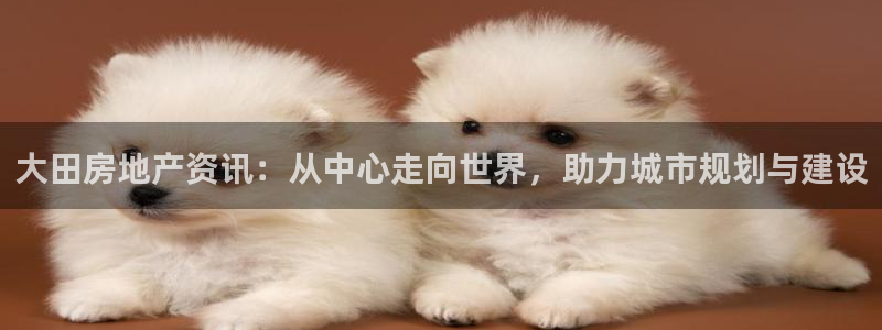 天狮娱乐炔wx15 net：大田房地产资讯：从中心走向世界，