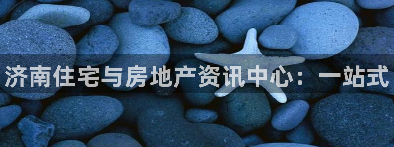 天狮娱乐 b内部61166：济南住宅与房地产资讯中心：一站式