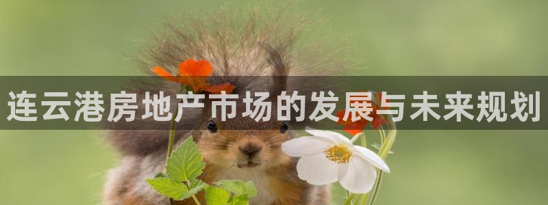 做天狮娱乐代理犯法吗：连云港房地产市场的发展与未来规划