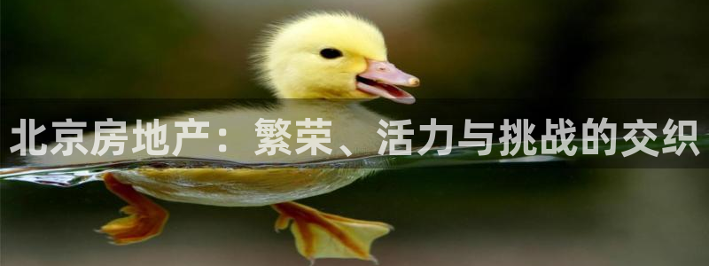 天狮娱乐怎么充钱：北京房地产：繁荣、活力与挑战的交织