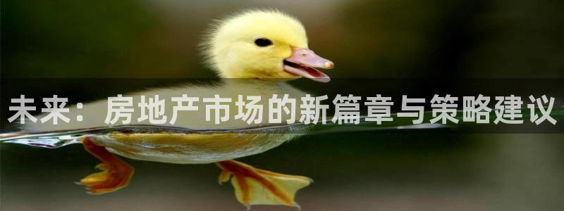 天狮娱乐c 判官