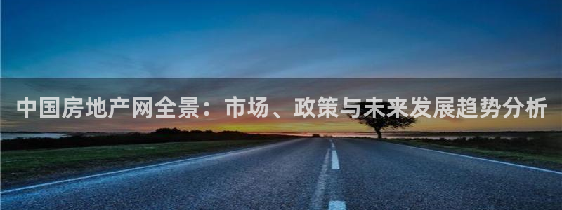 天狮娱乐彩票app：中国房地产网全景：市场、政策与未来发展趋