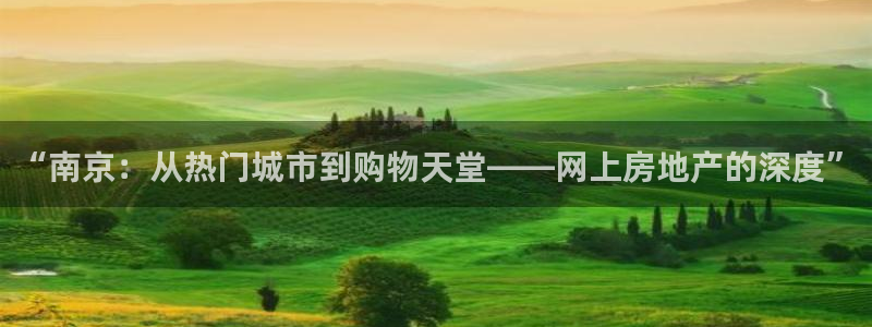 天狮娱乐平台找谁：“南京：从热门城市到购物天堂——网上房地产
