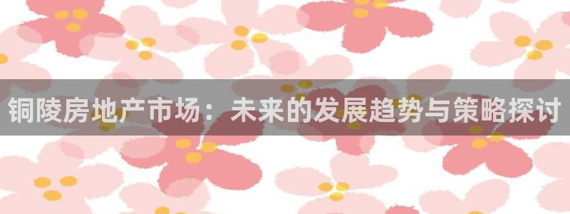 天狮娱乐怎么玩法：铜陵房地产市场：未来的发展趋势与策略探讨