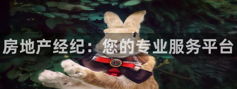 天狮娱乐网站：房地产经纪：您的专业服务平台