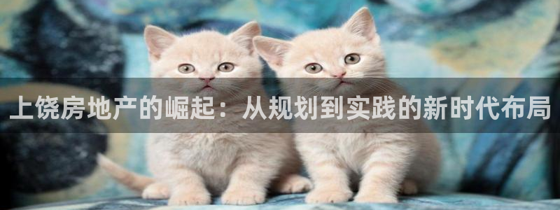 天狮娱乐然：上饶房地产的崛起：从规划到实践的新时代布局