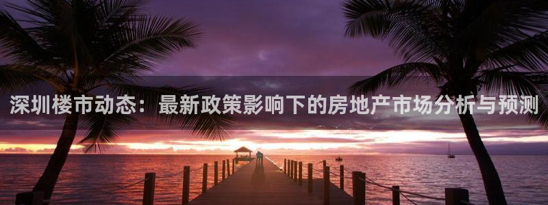 天狮娱乐是什么：深圳楼市动态：最新政策影响下的房地产市场分析