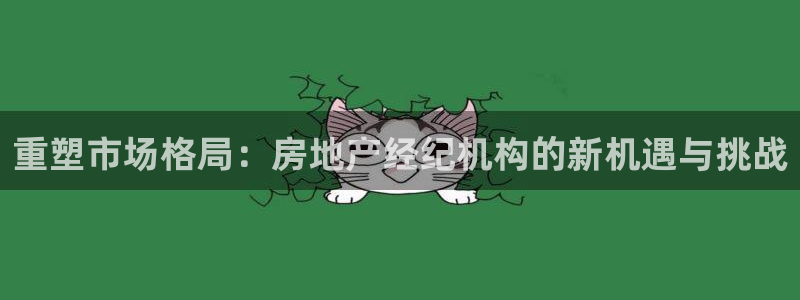 天狮娱乐如何注册代理：重塑市场格局：房地产经纪机构的新机遇与