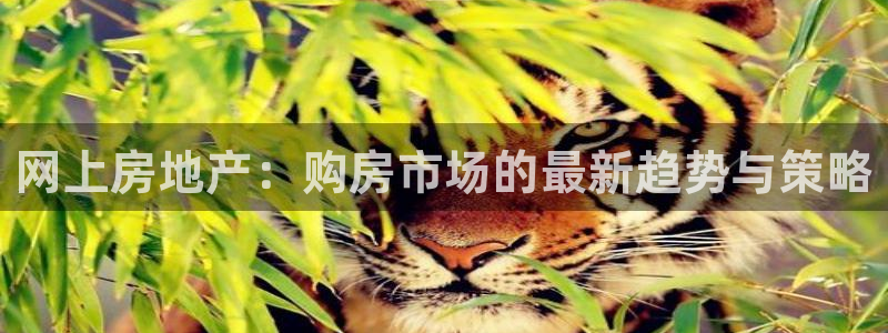 天狮娱乐玩法：网上房地产：购房市场的最新趋势与策略