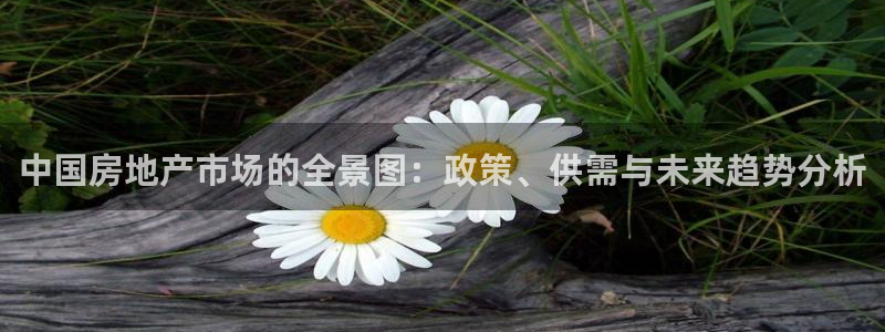 天狮娱乐优惠：中国房地产市场的全景图：政策、供需与未来趋势分