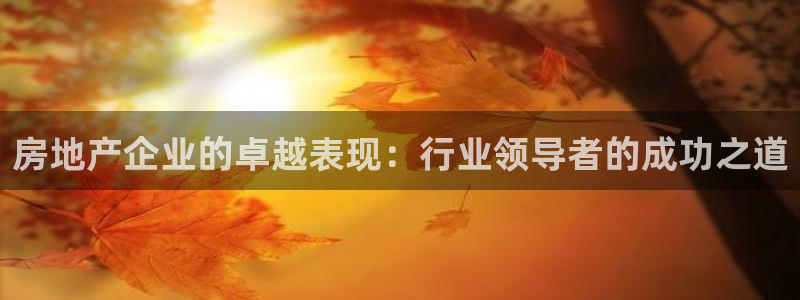 天狮娱乐去：房地产企业的卓越表现：行业领导者的成功之道