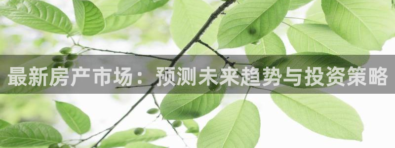 天狮娱乐专线：最新房产市场：预测未来趋势与投资策略