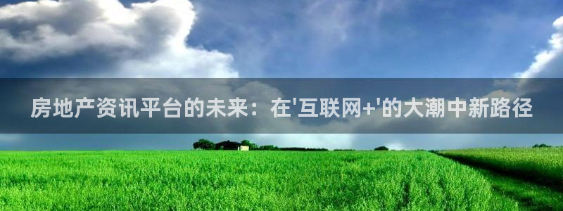 天狮娱乐主管66六26：房地产资讯平台的未来：在\'互联网+