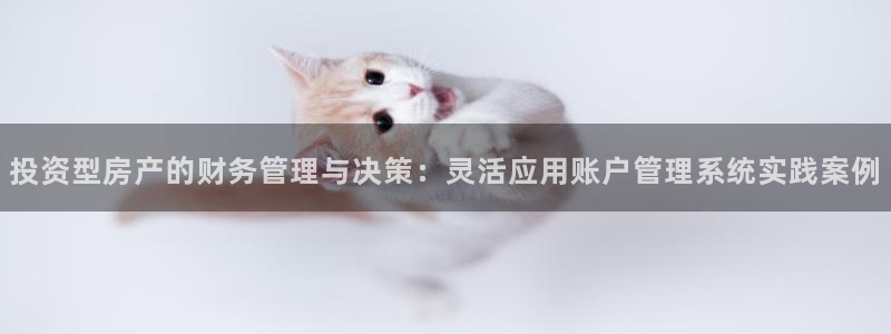 天狮娱乐彩票：投资型房产的财务管理与决策：灵活应用账户管理系