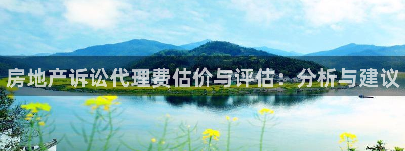 天狮学院娱乐设施怎么样：房地产诉讼代理费估价与评估：分析与建