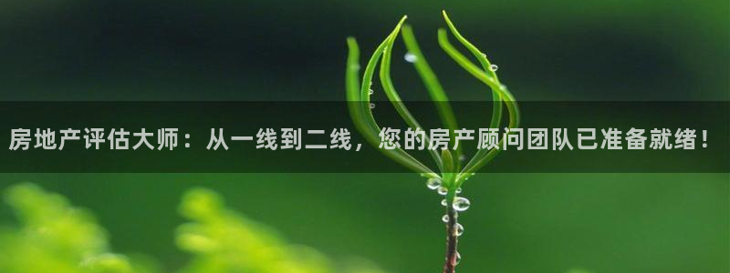 天狮娱乐怎么下载：房地产评估大师：从一线到二线，您的房产顾问