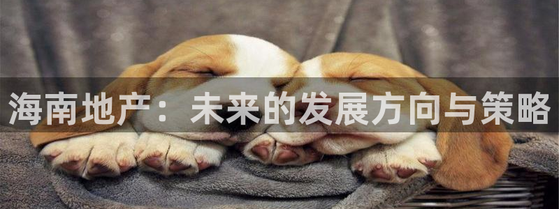 天狮娱乐总部在哪里：海南地产：未来的发展方向与策略