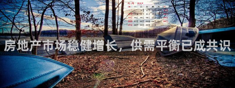 天狮娱乐股东代理