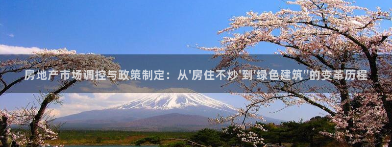 天狮娱乐v1.0.3app下载：房地产市场调控与政策制定：从