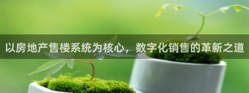 天狮娱乐71009：以房地产售楼系统为核心，数字化销售的革新