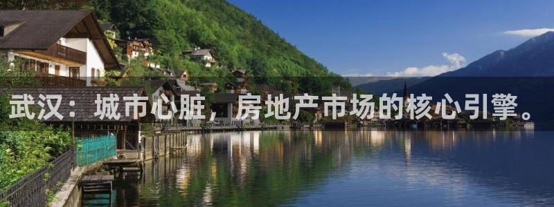 天狮娱乐妞妞：武汉：城市心脏，房地产市场的核心引擎。