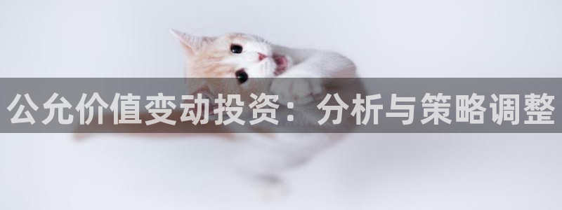 天狮娱乐叶哥：公允价值变动投资：分析与策略调整