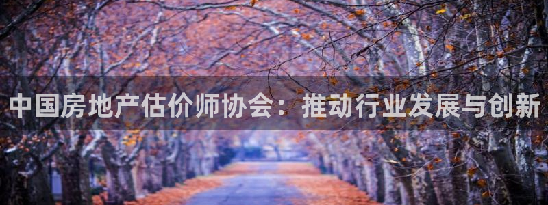 天狮娱乐是黑平台吗：中国房地产估价师协会：推动行业发展与创新
