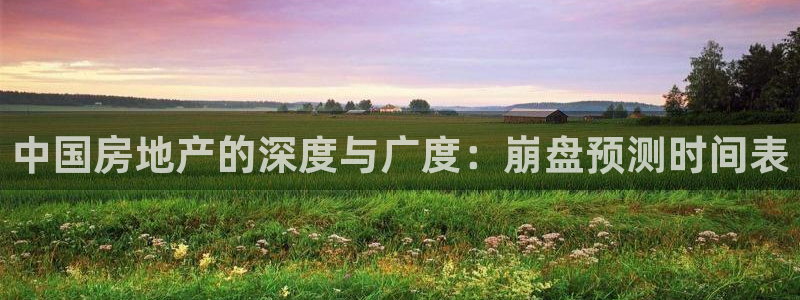 天狮娱乐　23976实c力：中国房地产的深度与广度：崩盘预测