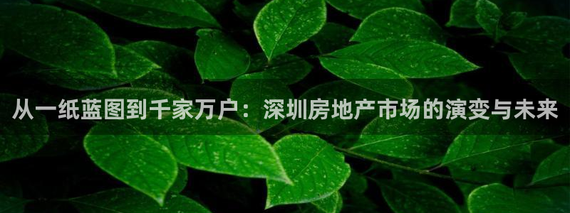 天狮娱乐是黑台子吗：从一纸蓝图到千家万户：深圳房地产市场的演
