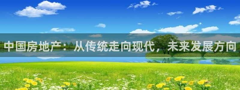天狮娱乐平台：中国房地产：从传统走向现代，未来发展方向