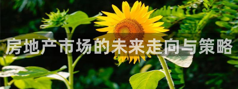 天狮娱乐 官方网站：房地产市场的未来走向与策略