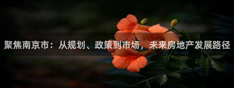 苏州狮山龙湖天街娱乐：聚焦南京市：从规划、政策到市场，未来房