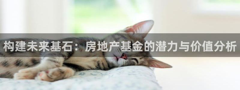 天狮娱乐主管：构建未来基石：房地产基金的潜力与价值分析