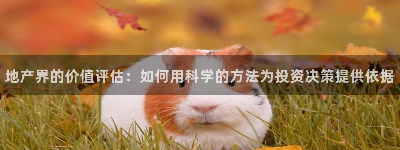 天狮娱乐 c主管57661：地产界的价值评估：如何用科学的方