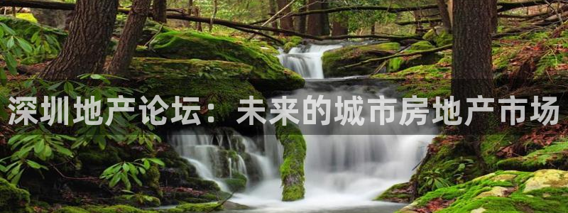 天狮娱乐指尖自：深圳地产论坛：未来的城市房地产市场