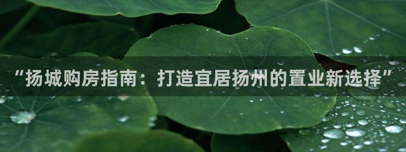 天狮娱乐彩票客服电话：“扬城购房指南：打造宜居扬州的置业新选