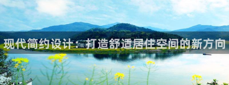 天狮娱乐彩票怎么玩：现代简约设计：打造舒适居住空间的新方向