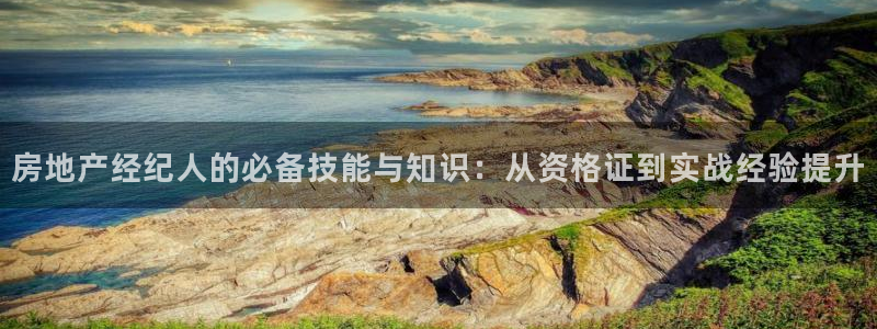 天狮娱乐鱼刺A软件：房地产经纪人的必备技能与知识：从资格证到