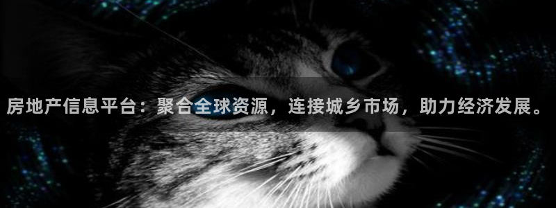 天狮娱乐内部主管：房地产信息平台：聚合全球资源，连接城乡市场