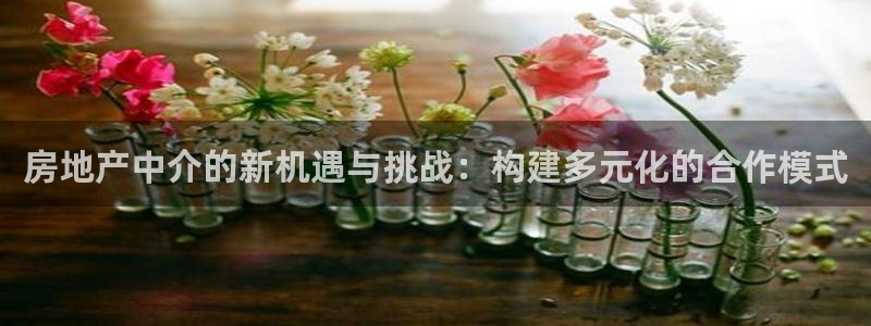 天狮国际娱乐：房地产中介的新机遇与挑战：构建多元化的合作模式